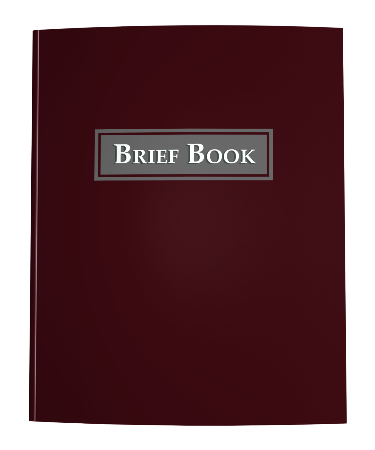 Brief Book - Law School Case Briefing Guided Notebook - 100 Cases ...